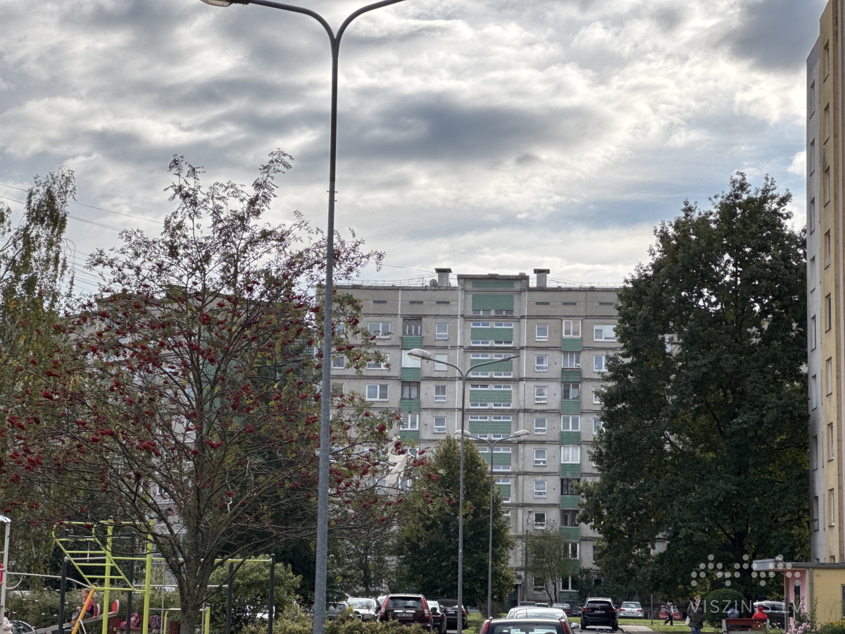 Vizmas Belševicas iela 13 foto 1