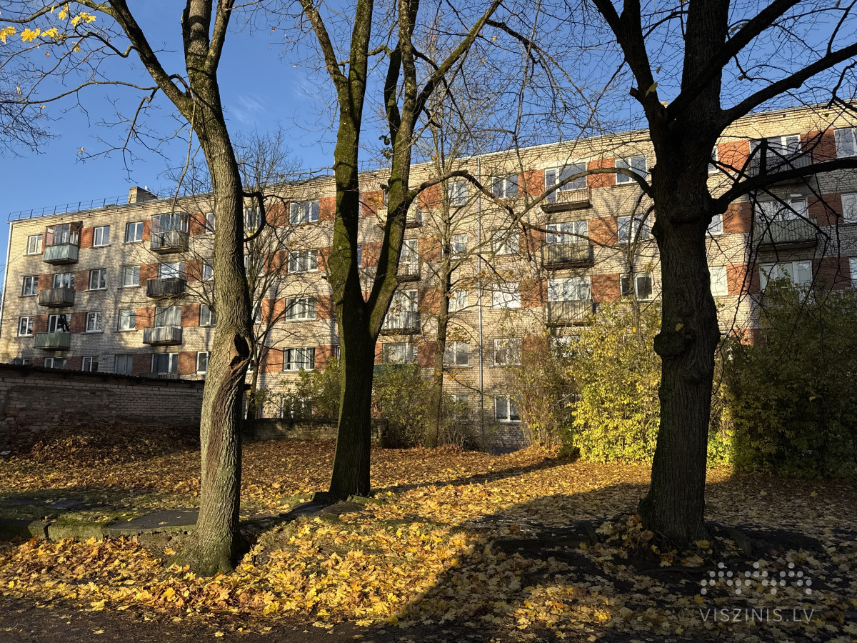 Grīvas iela 25 foto 1